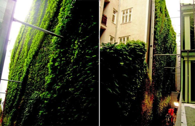 “green wall”, “living wall”, Eco Architecture, ecotecture, france, green architecture, Green Building, green design, Green Wall Living Architecture, jean nouvel,Patrick Blanc, Green Wall, Sofitel Vienna Stephansdom-Stilwerk, Sofitel Vienna, vertical garden, green design, eco design, sustainable design