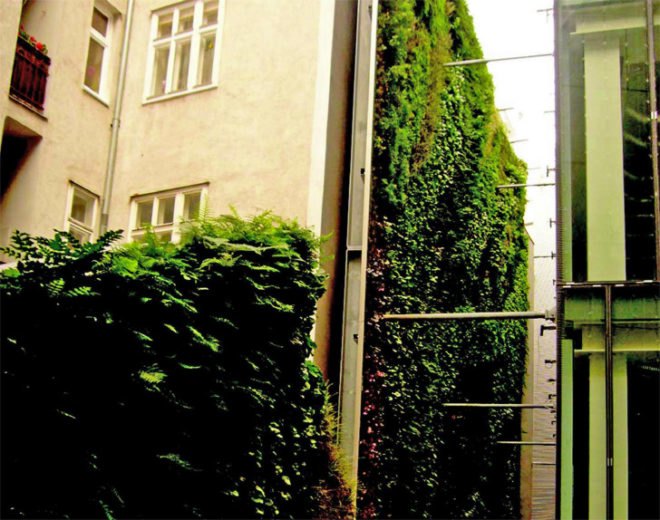 “green wall”, “living wall”, Eco Architecture, ecotecture, france, green architecture, Green Building, green design, Green Wall Living Architecture, jean nouvel,Patrick Blanc, Green Wall, Sofitel Vienna Stephansdom-Stilwerk, Sofitel Vienna, vertical garden, green design, eco design, sustainable design