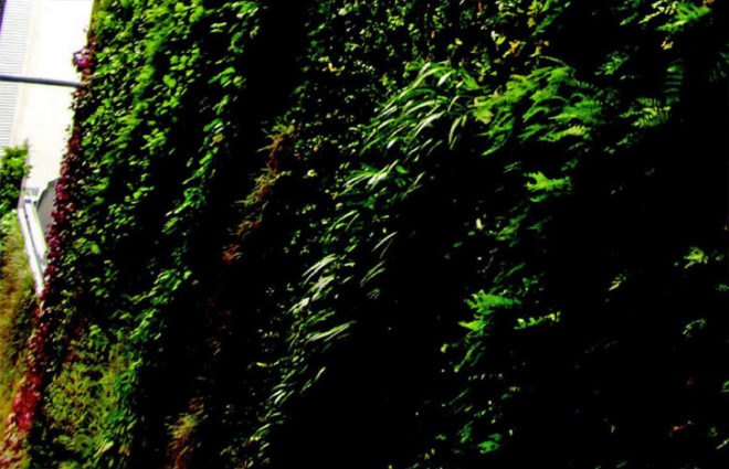 “green wall”, “living wall”, Eco Architecture, ecotecture, france, green architecture, Green Building, green design, Green Wall Living Architecture, jean nouvel,Patrick Blanc, Green Wall, Sofitel Vienna Stephansdom-Stilwerk, Sofitel Vienna, vertical garden, green design, eco design, sustainable design