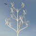 Power Flowers, nl architects, vertical axis wind turbines, wind energy, renewable energy, wind tree