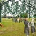Power Flowers, nl architects, vertical axis wind turbines, wind energy, renewable energy, wind tree