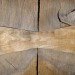 green furniture, Botanical, Elm tree, Dutch Elm Disease, green materials, Locally-sourced, Stockholm, Stockholm Furniture Fair, sustainable ikea, touring exhibition, tree trunk bench, ung8