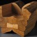 green furniture, Botanical, Elm tree, Dutch Elm Disease, green materials, Locally-sourced, Stockholm, Stockholm Furniture Fair, sustainable ikea, touring exhibition, tree trunk bench, ung8