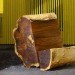 green furniture, Botanical, Elm tree, Dutch Elm Disease, green materials, Locally-sourced, Stockholm, Stockholm Furniture Fair, sustainable ikea, touring exhibition, tree trunk bench, ung8