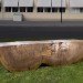 green furniture, Botanical, Elm tree, Dutch Elm Disease, green materials, Locally-sourced, Stockholm, Stockholm Furniture Fair, sustainable ikea, touring exhibition, tree trunk bench, ung8