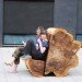 green furniture, Botanical, Elm tree, Dutch Elm Disease, green materials, Locally-sourced, Stockholm, Stockholm Furniture Fair, sustainable ikea, touring exhibition, tree trunk bench, ung8