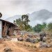 bamboo architecture, tyin tegnestue, Norwegian University of Science and Technology, Safe Haven Orphanage, eco library, bath house, thai orphanage, thai architecture, locally sourced materials, outdoor toilet, teak wood