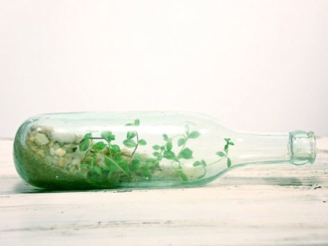 environmental art,"botanical garden",Mini terrarium greenhouse,indoor gardening,"philadelphia design", the slug and the squirrel, Jose Agatep