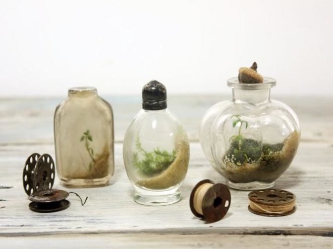 environmental art,"botanical garden",Mini terrarium greenhouse,indoor gardening,"philadelphia design", the slug and the squirrel, Jose Agatep