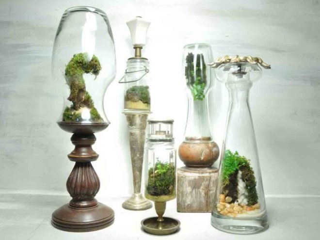 environmental art,"botanical garden",Mini terrarium greenhouse,indoor gardening,"philadelphia design", the slug and the squirrel, Jose Agatep