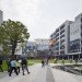 Alibaba, Hassell Architects, China, Hangzhou, sustainable architecture, sustainable design