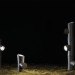 modular lighting, green lighting, led, leds, branch, garden lights, eco lighting, green design, eco design, sustainable design