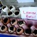 sustainable design, green design, packaging the future, green packaging, sustainable packaging, alternative packaging materials, green pots, sustainable planters, eco planter, biodegradable pots, gardening