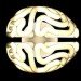 green industrial design, Solovyovdesign, brain shaped bulbs, compact fluorescent bulb, "bright idea" bulb joke, Insight Lightbulb, alternative light bulbs, incandescent replacement bulbs