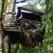 the nest, nest, treehouse, tree house, yelm washington, reclaimed wood, recycled materials, tree home, roderick romero, green design, eco design, sustainable design, green building