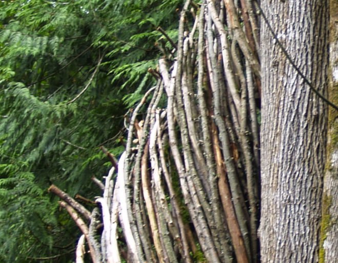 the nest, nest, treehouse, tree house, yelm washington, reclaimed wood, recycled materials, tree home, roderick romero, green design, eco design, sustainable design, green building