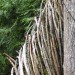 the nest, nest, treehouse, tree house, yelm washington, reclaimed wood, recycled materials, tree home, roderick romero, green design, eco design, sustainable design, green building
