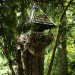 the nest, nest, treehouse, tree house, yelm washington, reclaimed wood, recycled materials, tree home, roderick romero, green design, eco design, sustainable design, green building