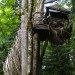 the nest, nest, treehouse, tree house, yelm washington, reclaimed wood, recycled materials, tree home, roderick romero, green design, eco design, sustainable design, green building