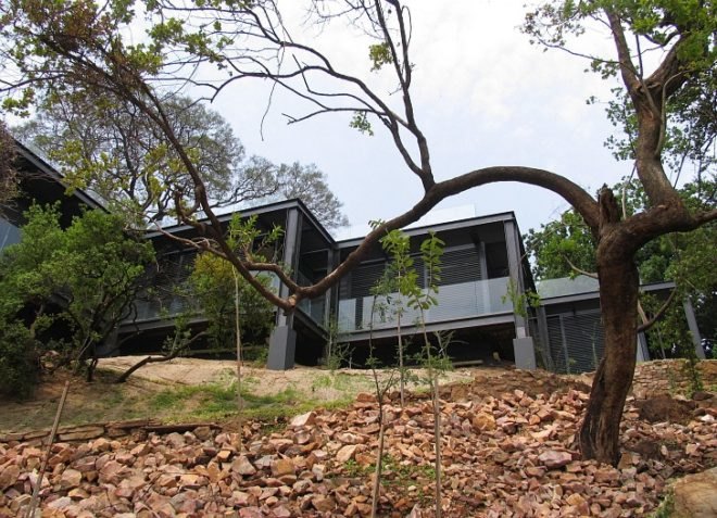 passive design, solar gain, green roof, South Africa, Daffonchio, Heritage House, Johannesburg, Magaliesburg, House Samios, indigenous plants, solar heating, solar geysers, underfloor heating