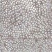 Tomoko Shioyasu, Japan Society, green materials, eco art, nature inspiration, Vortex, Japan Relief, art,