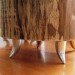 furniture sustainable forests, Nicole Belanger, Nickadoo Tree Trunk Tables, nickadoo, tree trunk furniture, fallen tree trunk furniture, green furniture, fallen, tree trunk tables, sustainable furniture
