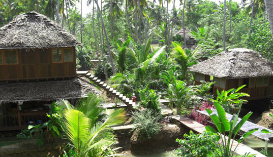 friday's place, tsunami house, eco tourism, kerala, india tourism, green tourism, green hotel, eco hotel, sustainable hotel, poovar beach, tsunami proof design, green design, disaster proof design, sustainable design, sustainable architecture, eco friendly hotel, green architecture