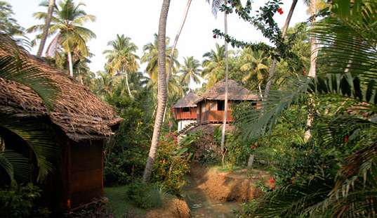friday's place, tsunami house, eco tourism, kerala, india tourism, green tourism, green hotel, eco hotel, sustainable hotel, poovar beach, tsunami proof design, green design, disaster proof design, sustainable design, sustainable architecture, eco friendly hotel, green architecture
