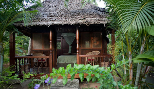 friday's place, tsunami house, eco tourism, kerala, india tourism, green tourism, green hotel, eco hotel, sustainable hotel, poovar beach, tsunami proof design, green design, disaster proof design, sustainable design, sustainable architecture, eco friendly hotel, green architecture