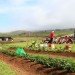 hawaii preparatory academy, energy lab, flansburgh architects, living building challenge, certified living building,
