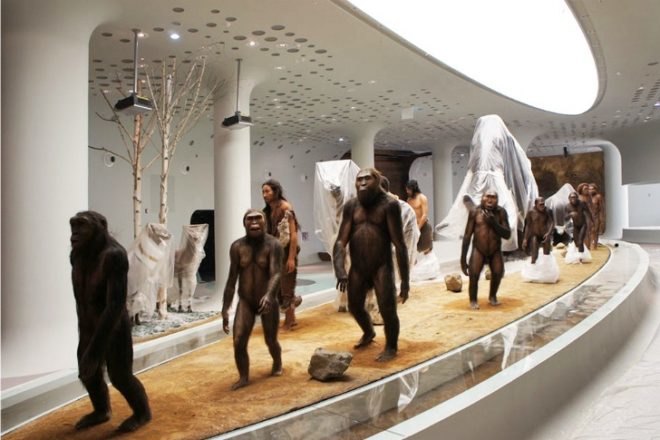 Jeongok Prehistory Museum, Korea, X-TU, museum, energy efficient design, futuristic design