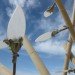 sustainable design, green design, eco art, environmental art, light trees, green lighting, bill watson, led tree, light emitting diode, led, energy-efficient lighting