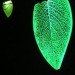 sustainable design, green design, eco art, environmental art, light trees, green lighting, bill watson, led tree, light emitting diode, led, energy-efficient lighting