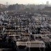 QuaDror Shelter, QuaDror, studio dror, dror benshetrit, relief housing, emergency housing