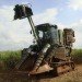 sugarcane biofuel, sugarcane, sugarcane crop, excess crops, biodiesel crops, waste crops, cooling crops, bamboo-like crops, sugarcane field, sugarcane plants, sugarcane energy