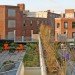 eco nieghborhood,"Philadelphia architecture",LEED certified Philadelphia, eco duplex, LEED platinum home, Philadelphia LEED H, rainwater collection, roof top garden, Onion flats, light shaft stairwell, dense design, green urban design