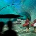 Waterstudio.NL, Floating Golf Course, troon golf, maldives, dutch docklands, golf course, rising sea levels, floating architecture