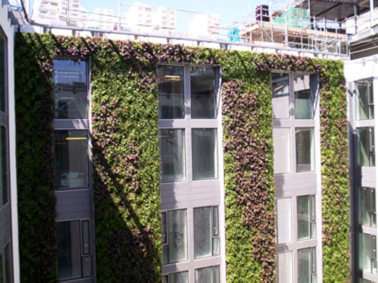 green design, eco design, sustainable design, living wall, Mint Hotel, Tower of London, Eco tourism, green roof, eco wall