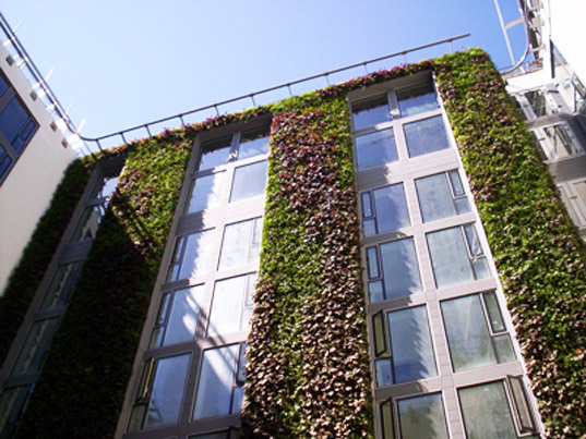 green design, eco design, sustainable design, living wall, Mint Hotel, Tower of London, Eco tourism, green roof, eco wall