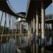 octospider, exposure architects, green design, eco design, green architecture, octo spider, thai cafeteria, sustainable architecture, passive design, architecture