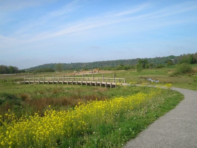 Brockholes Nature Reserve, uk, Adam Khan Architects, floating eco village, floating visitor centre, floating building,