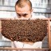 michael leung, urban bee keeping, product design, hong kong, threatened bee population, bee keeping hong knog, hong knog honey, pollination, urban honey making