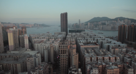 michael leung, urban bee keeping, product design, hong kong, threatened bee population, bee keeping hong knog, hong knog honey, pollination, urban honey making