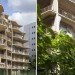 Jakob + Macfarlane, Urban green design, setback design, apartment green house, Jakob + Macfarlane, Paris green building, eco apartment, green apartment, solar thermal facade, solar drape, Paris green space, solar thermal water apartment,