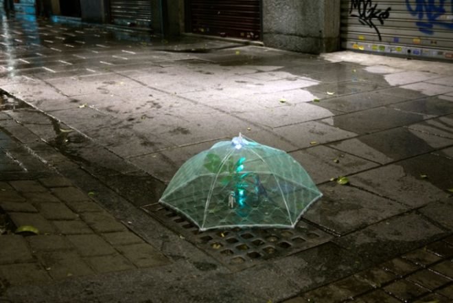 Implanted Nature, Luzinterruptus, guerrilla gardening, ecosystems, madrid, urban green spaces