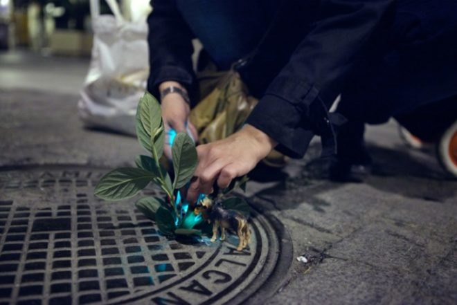 Implanted Nature, Luzinterruptus, guerrilla gardening, ecosystems, madrid, urban green spaces