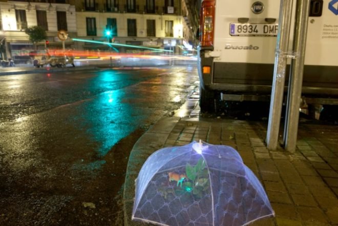 Implanted Nature, Luzinterruptus, guerrilla gardening, ecosystems, madrid, urban green spaces