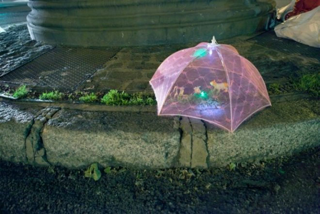 Implanted Nature, Luzinterruptus, guerrilla gardening, ecosystems, madrid, urban green spaces