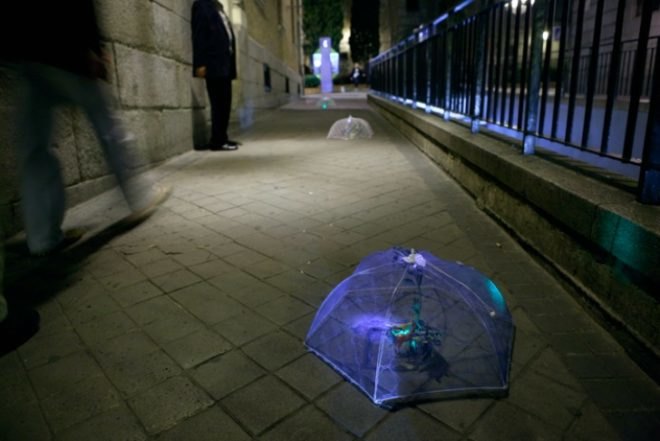 Implanted Nature, Luzinterruptus, guerrilla gardening, ecosystems, madrid, urban green spaces