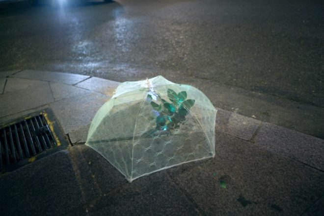 Implanted Nature, Luzinterruptus, guerrilla gardening, ecosystems, madrid, urban green spaces